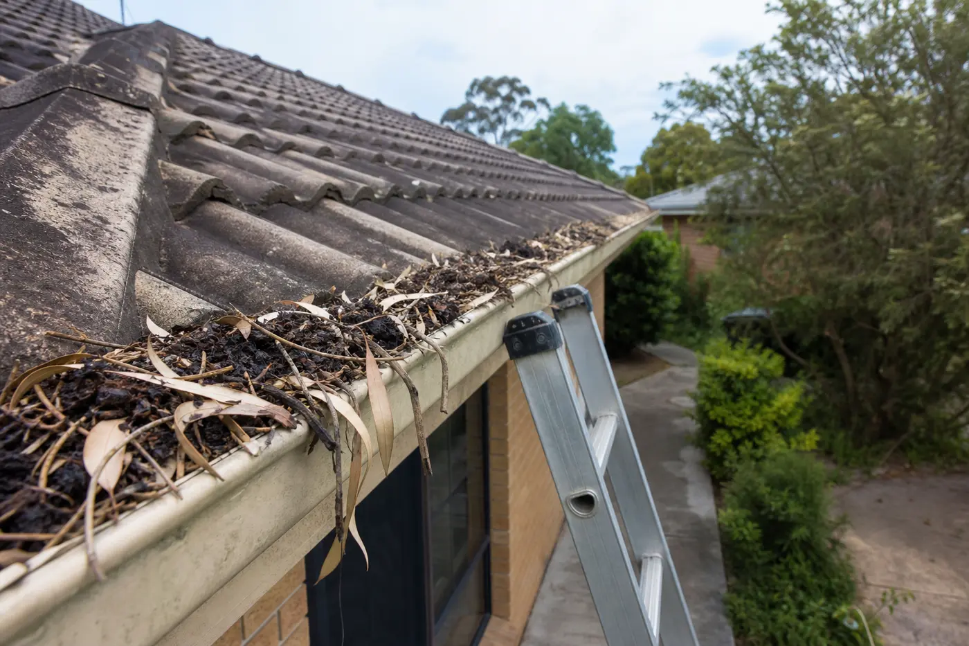 Gutter Cleaning in Narre Warren: A Local Guide
